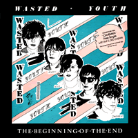 Wasted Youth - The beginning of the end front cover